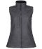 Picture of Regatta Ladies Flux Soft Shell Bodywarmer