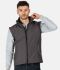 Picture of REGATTA ABLAZE PRINTABLE SOFTSHELL BODYWARMER