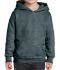 Picture of GILDAN KIDS HEAVY BLEND HOODED SWEATSHIRT