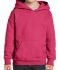 Picture of GILDAN KIDS HEAVY BLEND HOODED SWEATSHIRT