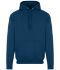 Picture of AWDis College Hoodie