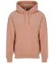 Picture of AWDis College Hoodie