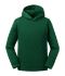 Picture of RUSSELL KIDS AUTHENTIC HOODED SWEATSHIRT 