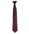 Picture of Premier 'Colours' Satin Clip Tie