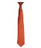 Picture of Premier 'Colours' Satin Clip Tie