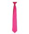 Picture of Premier 'Colours' Satin Clip Tie