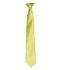 Picture of Premier 'Colours' Satin Clip Tie