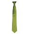 Picture of Premier 'Colours' Satin Clip Tie