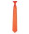 Picture of Premier 'Colours' Satin Clip Tie