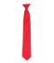 Picture of Premier 'Colours' Satin Clip Tie