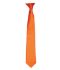 Picture of Premier 'Colours' Satin Clip Tie