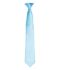 Picture of Premier 'Colours' Satin Clip Tie