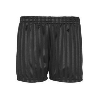 Picture of INNOVATION SHADOW STRIPE P.E SHORTS