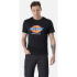 Picture of DICKIES DENISON T-SHIRT