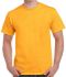 Picture of GILDAN ULTRA COTTON T-SHIRT