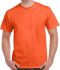 Picture of GILDAN ULTRA COTTON T-SHIRT