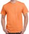 Picture of GILDAN ULTRA COTTON T-SHIRT