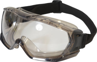 Picture of KARA PANORAMIC GOGGLES CLEAR 