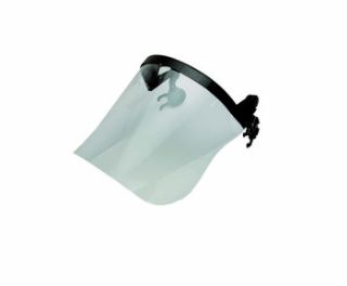 Picture of CLASSIC 225MM POLYCARBONATE CLEAR FACE SCREEN 