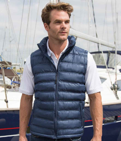 Show details for Result Urban Ice Bird Gilet Picture of Result Urban Ice Bird Gilet