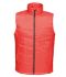 Picture of REGATTA STAGE II INSULATED BODYWARMER