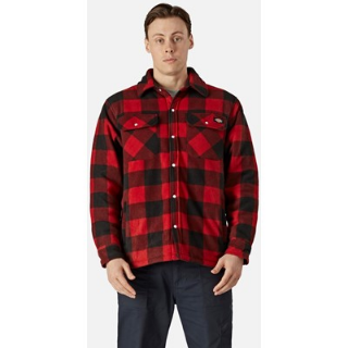 Picture of DICKIES PORTLAND SHIRT