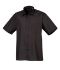 Picture of Premier Short Sleeve Poplin Shirt