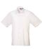 Picture of Premier Short Sleeve Poplin Shirt