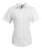 Picture of Premier Ladies Signature Short Sleeve Oxford Shirt